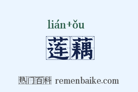 莲藕是什么意思的图片